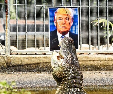 Article : Trump dans les marais